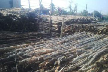 kayu dolken semarang