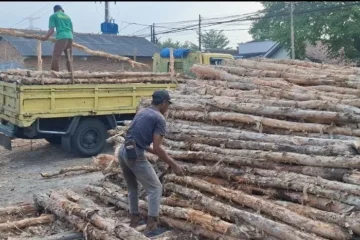 Jual kayu dolken Kebumen