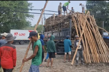 Jual kayu dolken Kendal