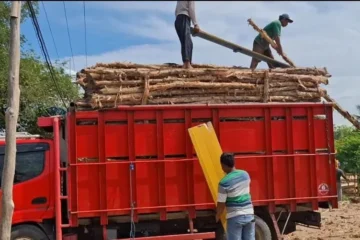 Jual Kayu Dolken Temanggung | Untuk Konstruksi