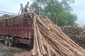 Kayu Dolken Jakarta Pusat