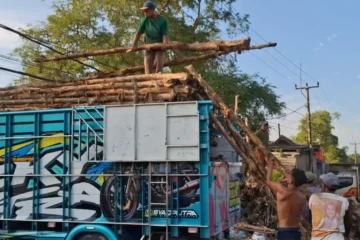 Kayu Dolken Jakarta Selatan