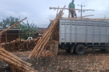 jual dolken pandeglang banten