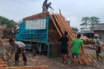 jual kayu dolken karawang